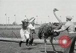Image Ostrich race El Cerrito California USA, 1934, de la seconde 9 séquences d'archives historiques vidéo 65675023137