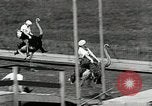 Image Ostrich race El Cerrito California USA, 1934, de la seconde 29 séquences d'archives historiques vidéo 65675023137