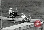 Image Ostrich race El Cerrito California USA, 1934, de la seconde 30 séquences d'archives historiques vidéo 65675023137