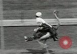 Image Ostrich race El Cerrito California USA, 1934, de la seconde 35 séquences d'archives historiques vidéo 65675023137