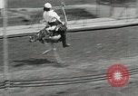 Image Ostrich race El Cerrito California USA, 1934, de la seconde 38 séquences d'archives historiques vidéo 65675023137