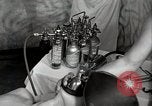 Image of 1st Marine Corps Medical Battalion Bougainville Island Papua New Guinea, 1943, second 36 stock footage video 65675023144