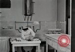 Image Division de la Pédiatrie Detroit Michigan USA, 1936, de la seconde 62 séquences d'archives historiques vidéo 65675023150