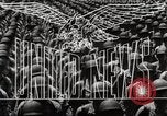 Standbild V-Mail United States USA, 1944, aus Sekunde 15 historischem Filmmaterial Videoclip 65675023159