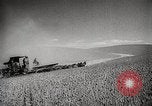 Standbild Weizen oder Alliierten Walla Walla Washington USA, 1944, aus Sekunde 7 historischem Filmmaterial Videoclip 65675023160