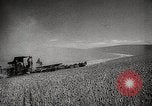 Standbild Weizen oder Alliierten Walla Walla Washington USA, 1944, aus Sekunde 8 historischem Filmmaterial Videoclip 65675023160