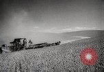 Standbild Weizen oder Alliierten Walla Walla Washington USA, 1944, aus Sekunde 10 historischem Filmmaterial Videoclip 65675023160