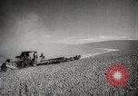 Standbild Weizen oder Alliierten Walla Walla Washington USA, 1944, aus Sekunde 11 historischem Filmmaterial Videoclip 65675023160