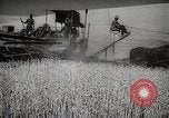 Standbild Weizen oder Alliierten Walla Walla Washington USA, 1944, aus Sekunde 13 historischem Filmmaterial Videoclip 65675023160