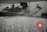 Standbild Weizen oder Alliierten Walla Walla Washington USA, 1944, aus Sekunde 14 historischem Filmmaterial Videoclip 65675023160