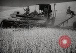Standbild Weizen oder Alliierten Walla Walla Washington USA, 1944, aus Sekunde 15 historischem Filmmaterial Videoclip 65675023160