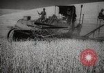 Standbild Weizen oder Alliierten Walla Walla Washington USA, 1944, aus Sekunde 16 historischem Filmmaterial Videoclip 65675023160