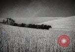 Standbild Weizen oder Alliierten Walla Walla Washington USA, 1944, aus Sekunde 17 historischem Filmmaterial Videoclip 65675023160