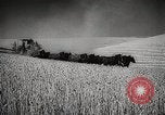 Standbild Weizen oder Alliierten Walla Walla Washington USA, 1944, aus Sekunde 20 historischem Filmmaterial Videoclip 65675023160