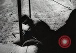 Standbild Weizen oder Alliierten Walla Walla Washington USA, 1944, aus Sekunde 31 historischem Filmmaterial Videoclip 65675023160