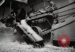 Standbild Weizen oder Alliierten Walla Walla Washington USA, 1944, aus Sekunde 33 historischem Filmmaterial Videoclip 65675023160