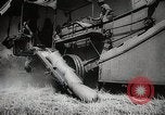 Standbild Weizen oder Alliierten Walla Walla Washington USA, 1944, aus Sekunde 34 historischem Filmmaterial Videoclip 65675023160