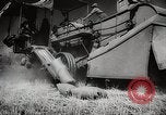 Standbild Weizen oder Alliierten Walla Walla Washington USA, 1944, aus Sekunde 35 historischem Filmmaterial Videoclip 65675023160