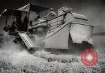 Standbild Weizen oder Alliierten Walla Walla Washington USA, 1944, aus Sekunde 37 historischem Filmmaterial Videoclip 65675023160