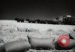 Standbild Weizen oder Alliierten Walla Walla Washington USA, 1944, aus Sekunde 38 historischem Filmmaterial Videoclip 65675023160