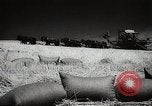 Standbild Weizen oder Alliierten Walla Walla Washington USA, 1944, aus Sekunde 41 historischem Filmmaterial Videoclip 65675023160