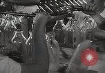 Image of Preparation of penicillin drug United States USA, 1944, second 14 stock footage video 65675023162
