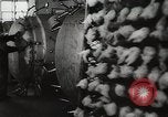 Image of Preparation of penicillin drug United States USA, 1944, second 16 stock footage video 65675023162