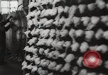 Image of Preparation of penicillin drug United States USA, 1944, second 17 stock footage video 65675023162