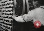 Image of Preparation of penicillin drug United States USA, 1944, second 19 stock footage video 65675023162