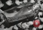 Image of Preparation of penicillin drug United States USA, 1944, second 40 stock footage video 65675023162