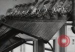 Image of Preparation of penicillin drug United States USA, 1944, second 47 stock footage video 65675023162