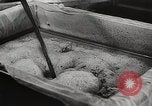 Image of Preparation of penicillin drug United States USA, 1944, second 49 stock footage video 65675023162