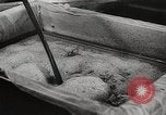 Image of Preparation of penicillin drug United States USA, 1944, second 50 stock footage video 65675023162
