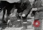Standbild James Stewart Dunbarton Ontario, 1938, aus Sekunde 28 historischem Filmmaterial Videoclip 65675023171