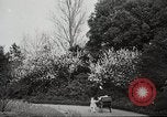 Standbild Spring Time London England Vereinigtes Königreich, 1938, aus Sekunde 13 historischem Filmmaterial Videoclip 65675023175