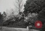 Standbild Spring Time London England Vereinigtes Königreich, 1938, aus Sekunde 15 historischem Filmmaterial Videoclip 65675023175