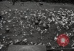 Standbild Spring Time London England Vereinigtes Königreich, 1938, aus Sekunde 30 historischem Filmmaterial Videoclip 65675023175