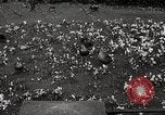 Standbild Spring Time London England Vereinigtes Königreich, 1938, aus Sekunde 31 historischem Filmmaterial Videoclip 65675023175