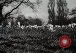 Standbild Spring Time London England Vereinigtes Königreich, 1938, aus Sekunde 33 historischem Filmmaterial Videoclip 65675023175