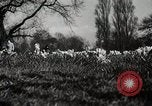 Standbild Spring Time London England Vereinigtes Königreich, 1938, aus Sekunde 34 historischem Filmmaterial Videoclip 65675023175