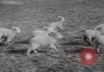 Standbild Spring Time London England Vereinigtes Königreich, 1938, aus Sekunde 38 historischem Filmmaterial Videoclip 65675023175
