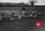 Standbild Spring Time London England Vereinigtes Königreich, 1938, aus Sekunde 40 historischem Filmmaterial Videoclip 65675023175