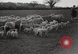 Standbild Spring Time London England Vereinigtes Königreich, 1938, aus Sekunde 42 historischem Filmmaterial Videoclip 65675023175