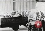 Standbild palästinensisch-arabischen Flüchtlinge Ägypten, 1950, aus Sekunde 18 historischem Filmmaterial Videoclip 65675023180
