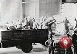 Standbild palästinensisch-arabischen Flüchtlinge Ägypten, 1950, aus Sekunde 23 historischem Filmmaterial Videoclip 65675023180
