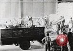 Standbild palästinensisch-arabischen Flüchtlinge Ägypten, 1950, aus Sekunde 24 historischem Filmmaterial Videoclip 65675023180
