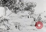 Immagine di Dar El Tifl orfanotrofio Gerusalemme Est, 1950, secondo 30 filmato di repertorio 65675023181