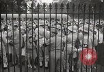 Image Le président Truman annonce le Japon abandon Washington DC USA, 1945, de la seconde 10 séquences d'archives historiques vidéo 65675023237
