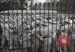 Image Le président Truman annonce le Japon abandon Washington DC USA, 1945, de la seconde 11 séquences d'archives historiques vidéo 65675023237