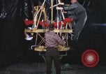 Immagine di Astronauta Virgil Grissom United States USA, 1960, secondo 37 filmato di repertorio 65675023291